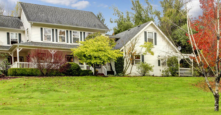 Tips For Spring Yard Clean Up